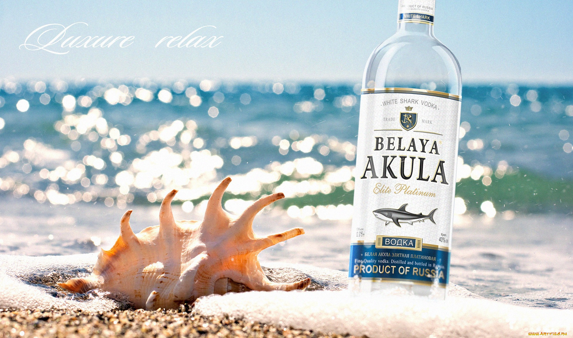 , white, shark, , 